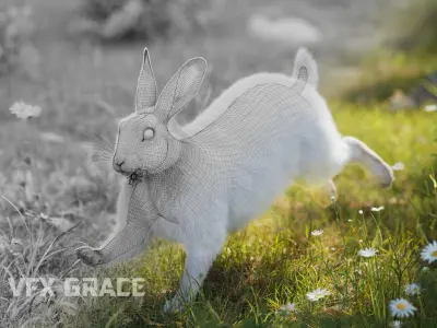White rabbit Animated VFX Grace 3D model