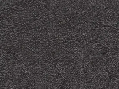 CHAIR leather texture Free 3D model
