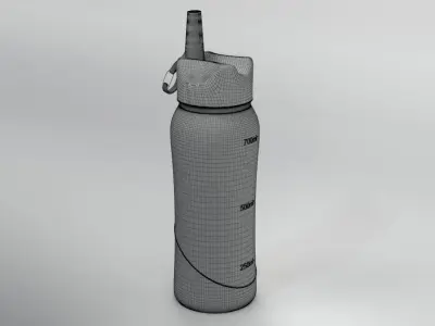 Reusable Water Bottle 3D model