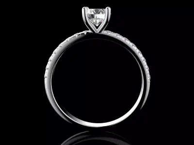 Gold N1591 3D print model