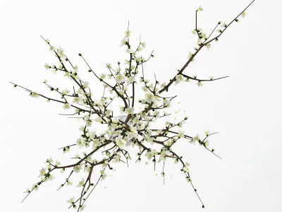 Branches in a vase 3D model