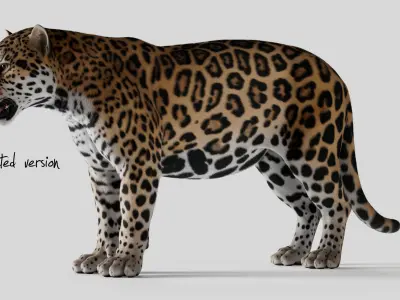 Jaguar For Production 3D model