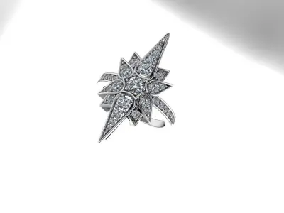 Star Ring 3D print model