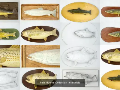 Fish Mounts Collection