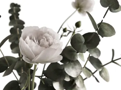 Photorealistic model of bouquets of eucalypt in vase 3D model