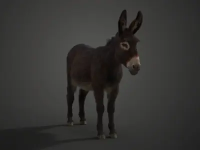 Donkey Winter with 4 Animations  VFX Grace 3D model