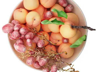 bowl of apricots and brown grapes fruit 3D model