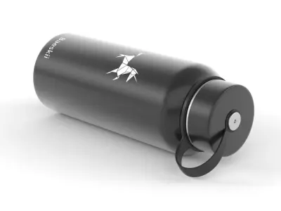 Water Bottle 3D model