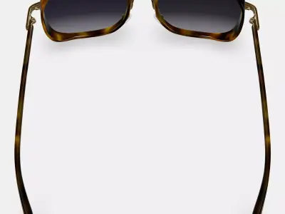 Fernanda Sunglasses in Cognac Tortoise with Polished Gold 3D model