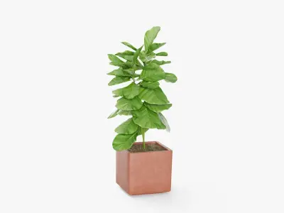 Plant 2 in concrete pot 3D model