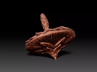 Mallow Flower Spinning Top Toy or Decor 3D print model