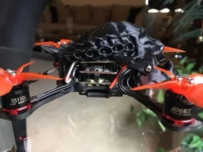 Babyhawk R Predator Alien Skull Drone Canopy 3D print model