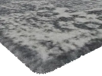 Rug Set 1340 3D model