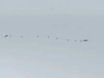 St. Louis Express Quad Chairlift  Free 3D model