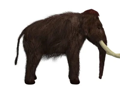 Mammoth woolly with long tusks Low-poly 3D model