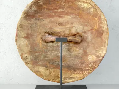 Zulu Pinwheel Shield 3D model