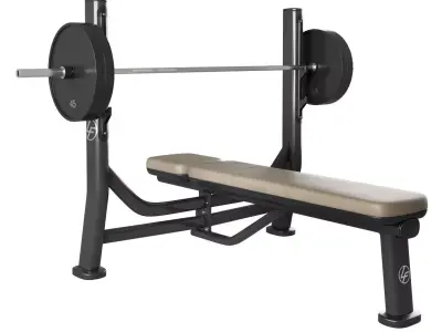 Signature Series Olympic Flat Bench 3D model