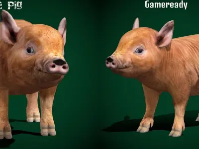 Miniature  Pig Animal Low-poly 3D model