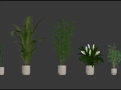 20 Photorealistic Flowers for Interiors - set 203 205 213 218 3D Model Collection