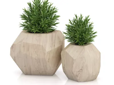 Two Plants in Modern Wooden Pots 3D model