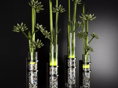 Decor plants 3D model