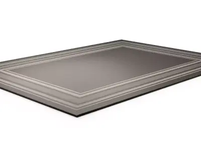 Modern Bordered Area Rug 3D model