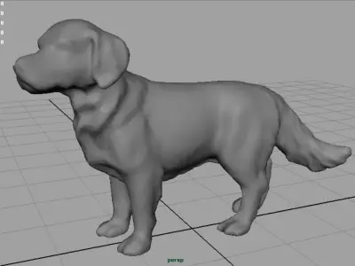Labrador Retriever Low-poly 3D model