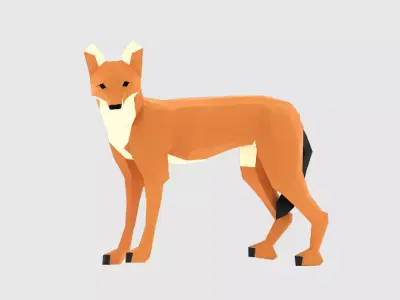 Dhole orange fox Low-poly 3D model