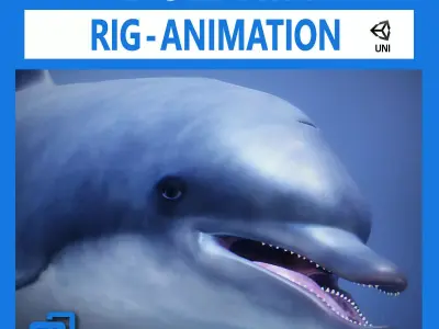 Animated Dolphin Unity Low-poly 3D model