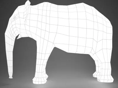 ELEPHANT - BASE MODEL WITH SKELETON 3D model
