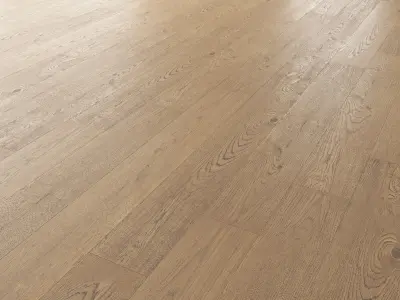 Wood Floor Set 14 3D model