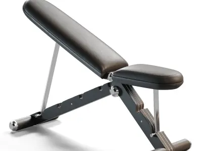 BANKA  Advance Gym Weight Bench 3D model