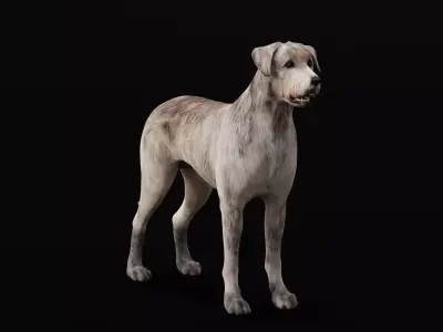 Irish Wolfhound Dog Low-poly 3D model