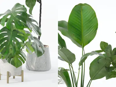 Plants collection 122 3D model