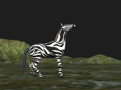 Zebra 3d Fully Rigged  3D model
