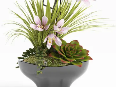 Flower set 21 3D model