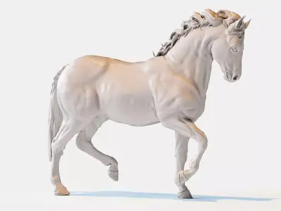 Horse 3D model 40