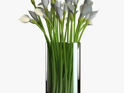 Flower Collection 4 calla lilies in vase 3D model