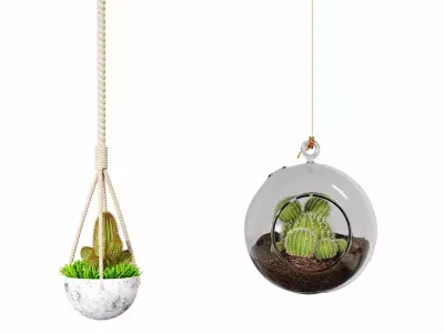 decorative hanging plant 3D model