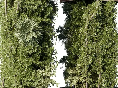 Column plant - pillar plant - column garden ivy 10 3D model