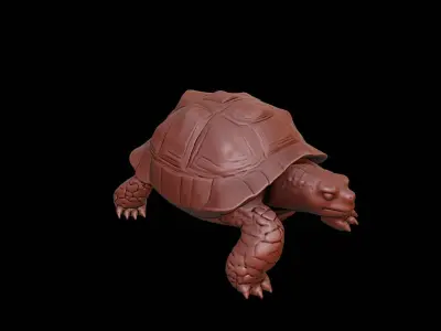 Turtle Animal Sculpture 3D print model buy