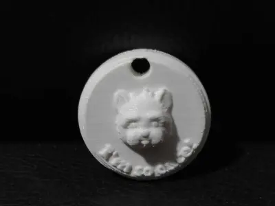 Dog Tag 3D print model