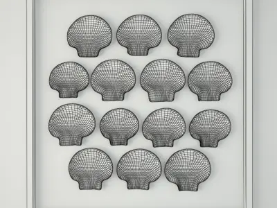 Scallop Shells 3D model