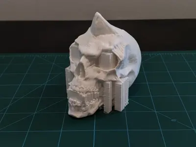 Skull 3D print model