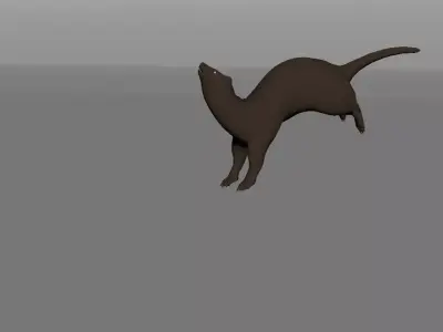 Ferret Rig 3D model