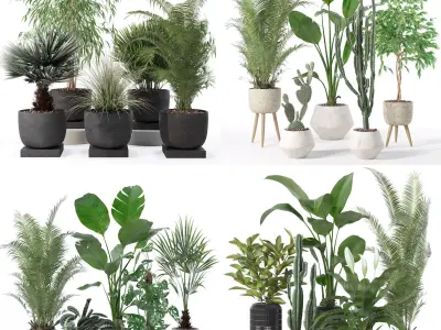 20 Photorealistic Flowers for Interiors - set 119 135 130 134 3D Model Collection