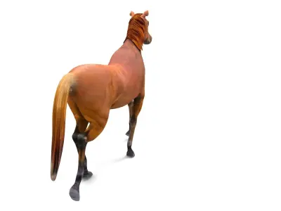 Red Horse Animated Low-poly 3D model