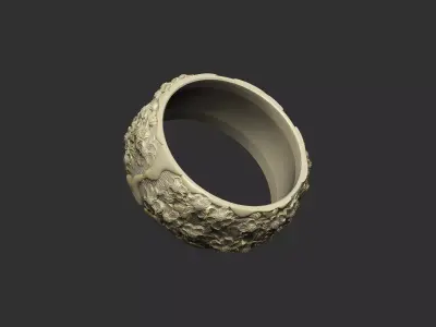 Sakura branches ring design petal luxury royal organic 3D print model