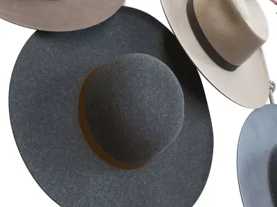Decorative hat set 3D model