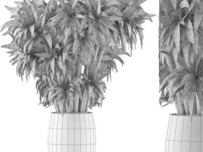Plants Collection 97 3D model